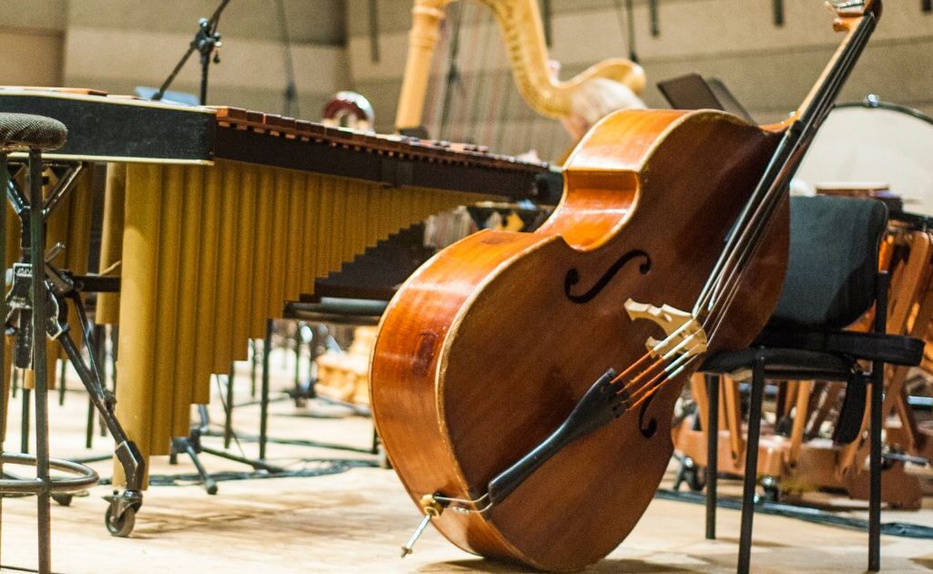 Seguro para Instrumentos Musicais