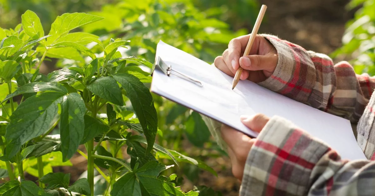Seguro Agrícola