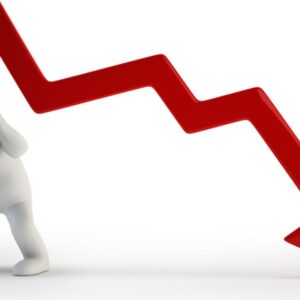 Seguro de Lucros Cessantes