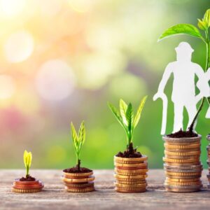 Pensão por Morte INSS