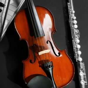 Seguro para Instrumentos Musicais