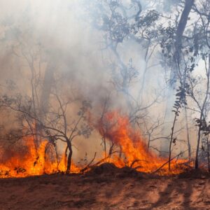 Seguro Contra Incêndio