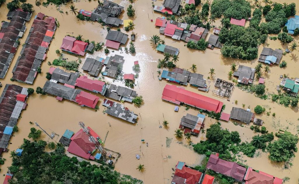 sinistralidade nos seguros de danos