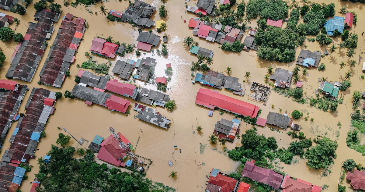 sinistralidade nos seguros de danos